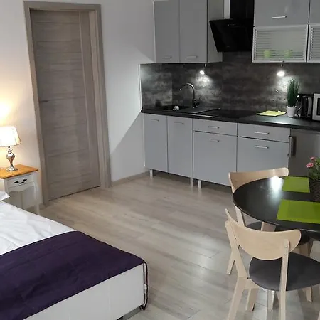 Magnolia Apartment Bialystok Exterior photo